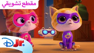 لافتة ترحيب  كيتيديل | القطط الصغيرة الخارقة ⭐ | ديزني جونيور العربية