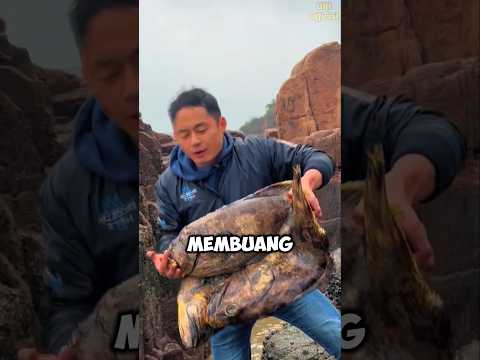 Jebakan Laut #shorts