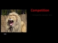 Animal Behavior and Mating Strategies