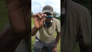Fishing with FROGS vs. Lures Which Catches More Fish