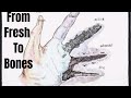 Decomposition Stages and Factors