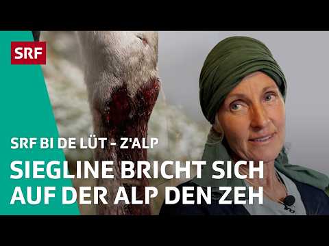 Pechsträhne und Abschiedstränen | Z'Alp – SRF bi de Lüt | 2025 – 5/5 | SRF