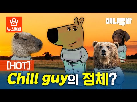 본인의 정체따윈 중요하지 않은 chill guy 일 때..★I SBS 뉴스멀봐 (2025.02.07)ㅣDoesn't Need To Know Who I Am... Chill Guy.