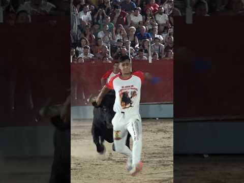 ¡SE ESCAPA DEL TORO BRAVO! 😨¡INCREÍBLE! #toros #bull #tricks #toroultra #españa