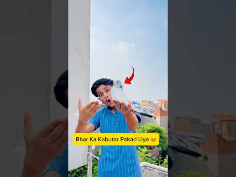 bhar ka kabotar pakad liya ๐ #minivlog #vlogs