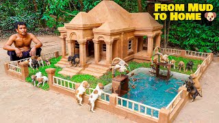 Dog rescue and build Villa Dog House   Build House for Puppies