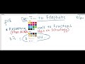 Converting Decimals to Fractions