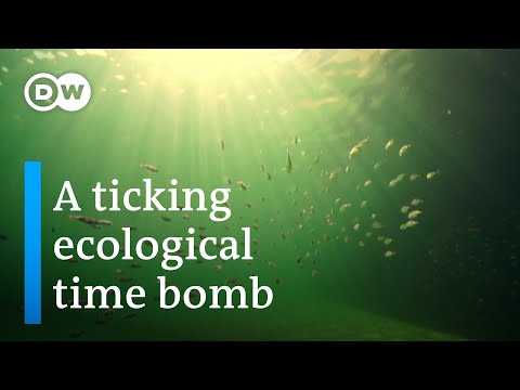 YouTube video thumbnail: Poland: Threat Lurking in the Baltics