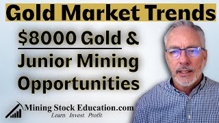 Gold Market Trends and Junior Mining Stock Opportunities with Expert Brien Lundin