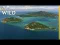 Natural Phenomena and Coral Ecosystems