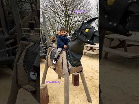 Crazy Horse Rider #shorts #viralshorts #ytshorts #fyp