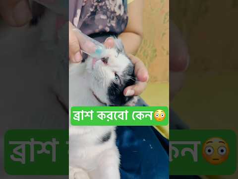 💥আম্মু শুধু ব্রাশ করায়😓।।@TaniaAkter-gm3mi 💥 wait for end🙏😳