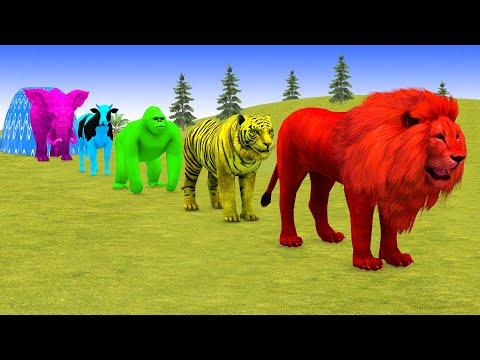 5 Giant Duck Cartoon, Cow, Elephant, Tiger, Paint Wild Animals Crossing Fountain Animation