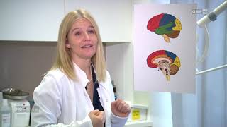 Mit positiven Gedanken zu einem gesünderen Leben: Dr. Katharina Schmid bei NÖ Heute
