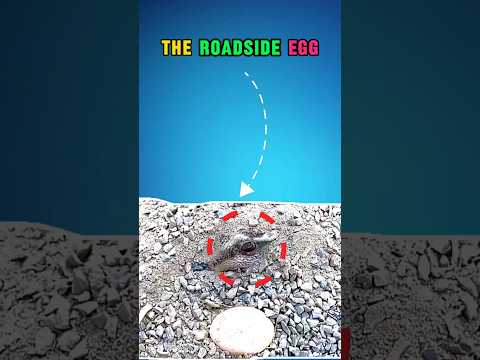 One Egg Changed Her Life Forever 😱 #shorts