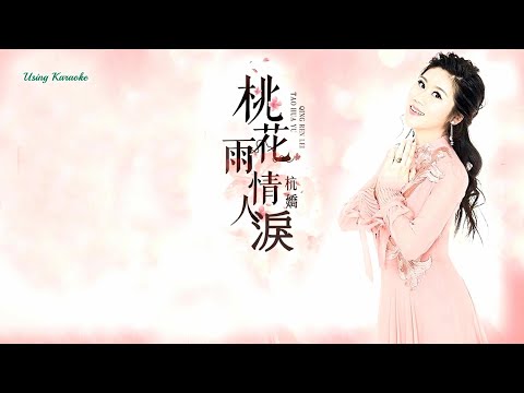 桃花雨 情人淚-杭嬌-伴奏 KARAOKE