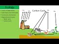 Ecology Final Exam Review Challenge