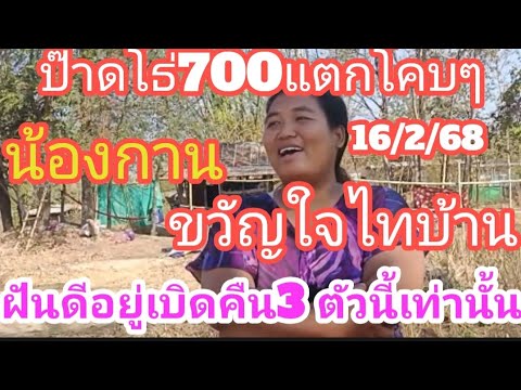 ป๊าดโธ่700แตกโคบ(น้องกาน)ขวัญใจไทบ้านฝันดีอยู่เบิดคืนเน้น 3 ตัวนี้เท่านั้น