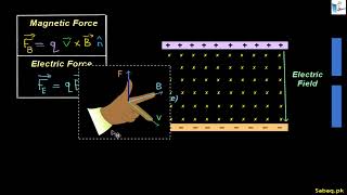 Velocity Selector (Cross Electric and Magnetic Fields)
