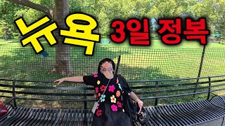 이대로 따라하면 졸도하는 뉴욕 3일 ⎥🇺🇸미국(뉴욕上)