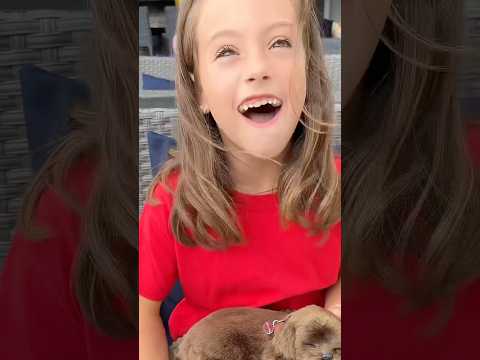 11:11 WISH CAME TRUE?! 🪄✨”I WISH FOR A DOG” 🐶 @agset211 #dog #wish #fun #magic #trend #puppy