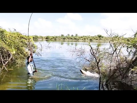 INDIAN.FLOAT FISHING 🎣 By SINGLE HOOK to Catching BiG Rohu Fishes