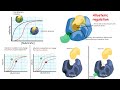 Allosteric Regulation and Enzyme Kinetics