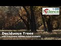 Understanding Trees in Ecosystems