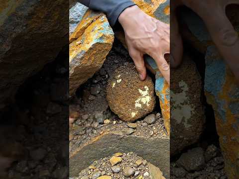 The process of finding gold | finding gold in bedrock fragments | finding gold nuggets worth $2500