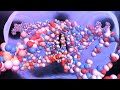 Cell Structure and DNA Functions