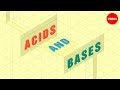 Understanding Acids and Bases