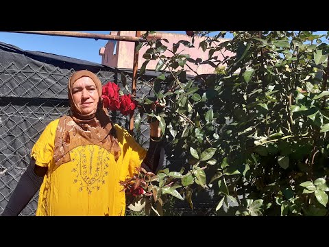 تبارك الله على خيرات بلادي