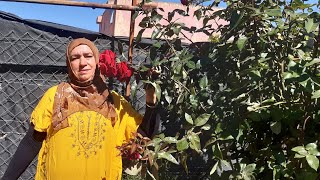 تبارك الله على خيرات بلادي