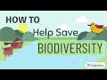 Biodiversity Conservation and Awareness