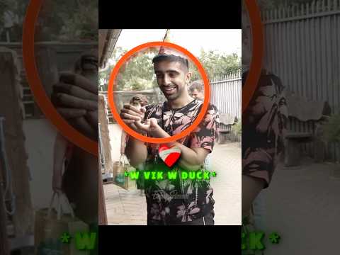 🌹❤️‍🩹That’s why Viks bond with ducks is so beautiful🥺❤️‍🔥#vikkstar #vikstar123 #wholesome