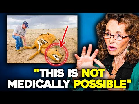 UFO Witnesses Speak Out: ‘This Is Not Medically Possible’ | Linda Moulton Howe