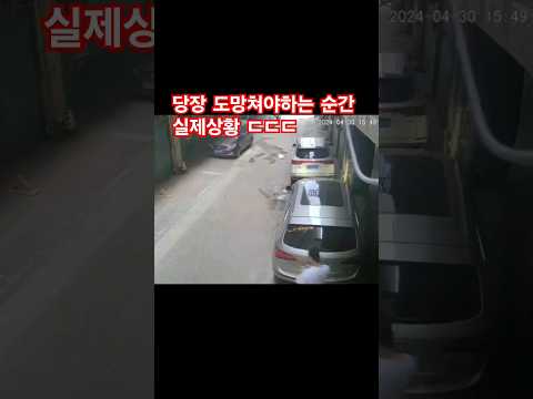 당장 도망쳐야하는 순간 실제상황 ㄷㄷㄷ