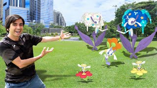 ¡¡5 REGISTROS SHINY EN ESTE DÍA DE LA COMUNIDAD!!-POKÉMON GO