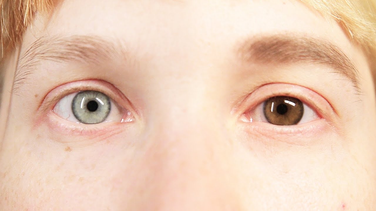 People Change Their Eye Color For A Week
