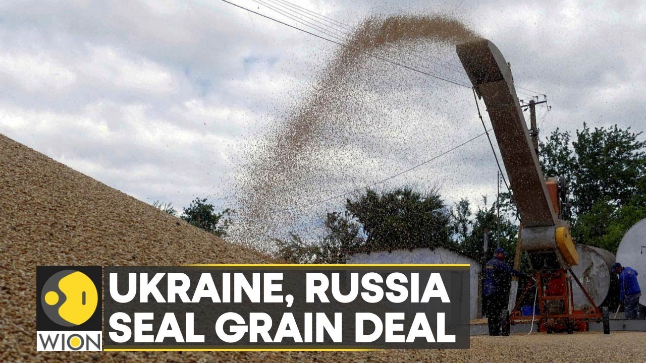 Russia and Ukraine agree to release Blockaded Grain Exports