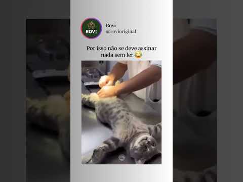 Ele não entendeu nada 😂 #pets #explorar #viral #shorts #fyp