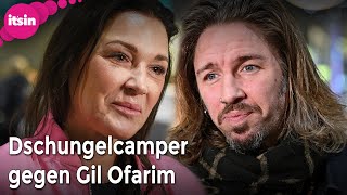 Stars schießen im Dschungelcamp gegen Gil - Fans sind empört  • it's in