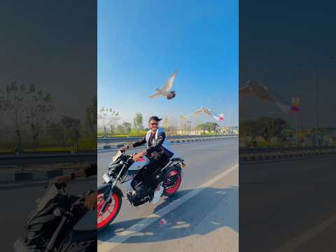 do kabutar udaye ???️ #publicreaction #trending #pigeonlover #kabutarlover #ytshorts #shortsfeed
