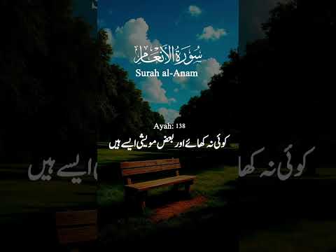 Surah al-Anam ayah 135-39 #quranatajktimes #quranictranslation #quransurah