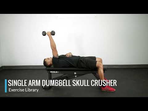 30 Arms Barbell Skullcrusher, Exercise Videos & Guides