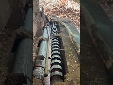 bend wood to make broom handle#machine #worship