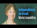 Historical Insights on Brazilian Independence