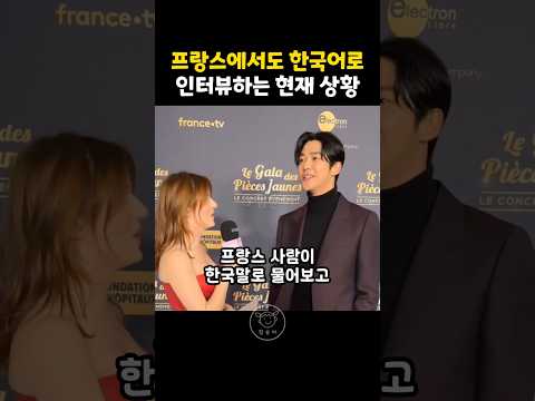 프랑스에서 한국말로 인터뷰 질문하자 영어로 답하는 한국가수