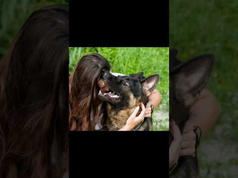 Esta mujer dormía cada noche con su perro. #historia #citación #historias #perros