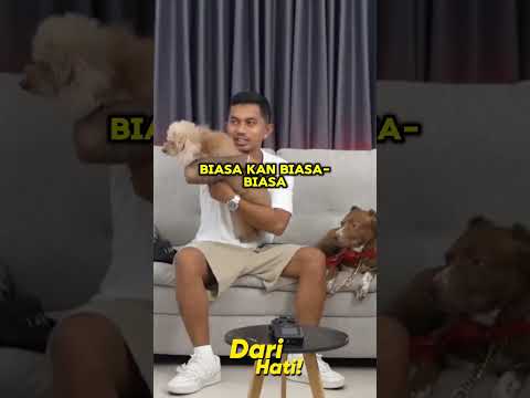 Ko bisa ya floki kaya gitu 🥺